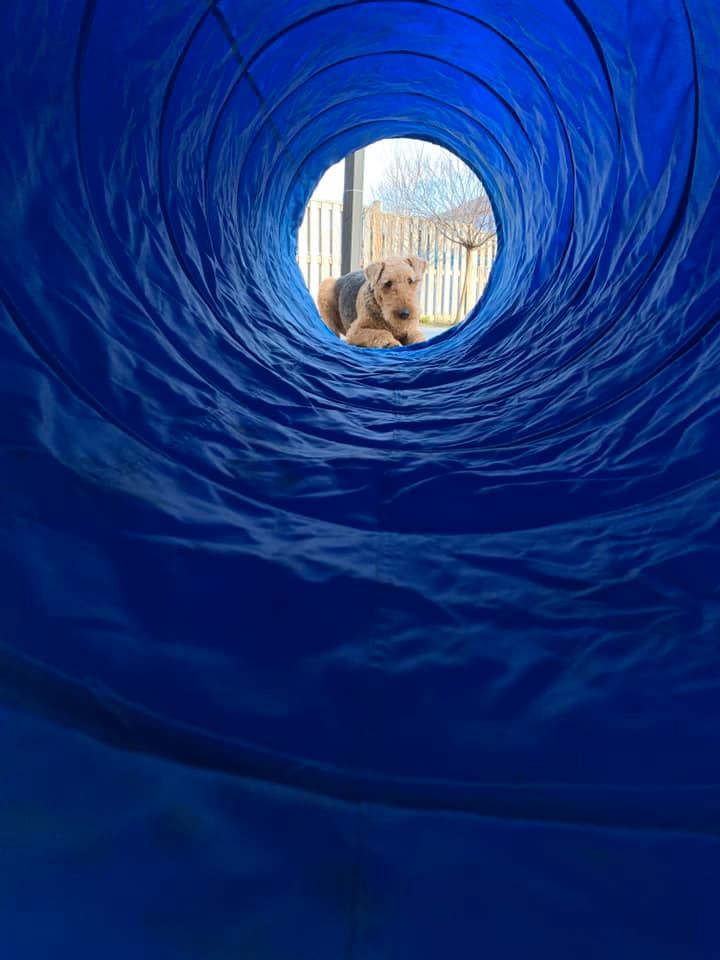 blue tube